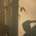 shadows in the rain